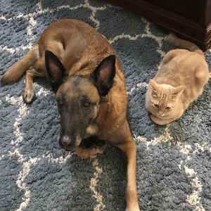 Fundraising Page: Tara Hayward